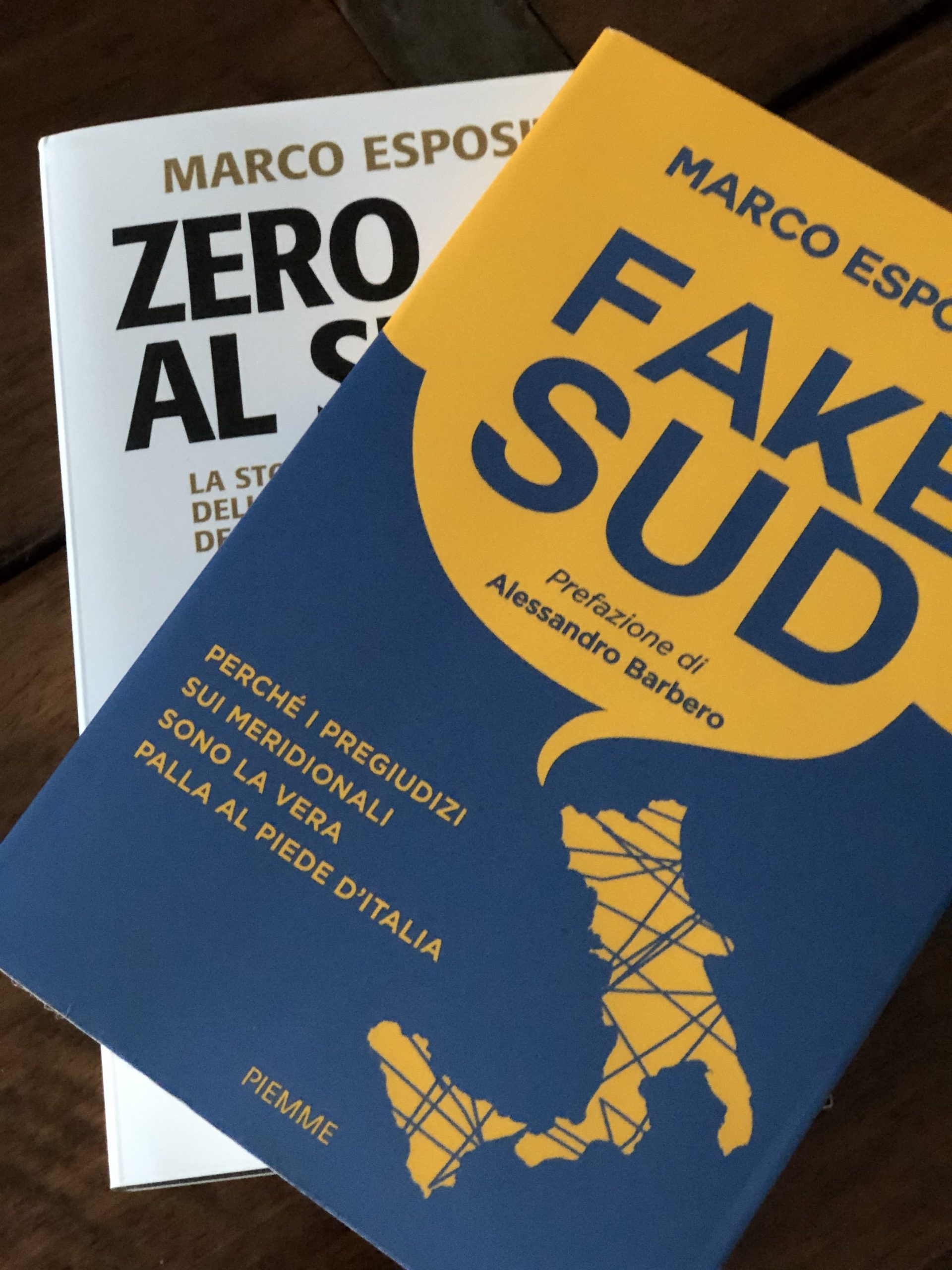 Fake Sud